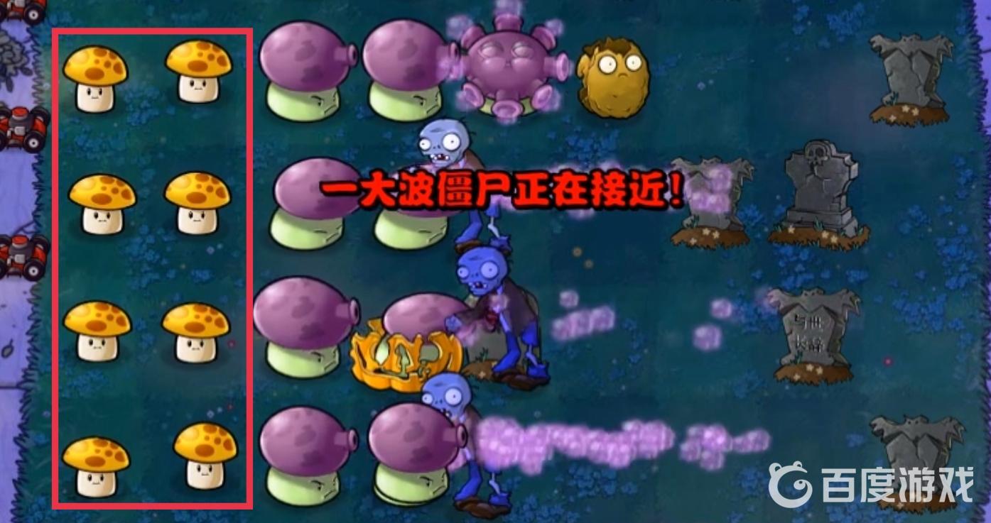 植物大戰僵屍夜晚用向日葵還是蘑菇？