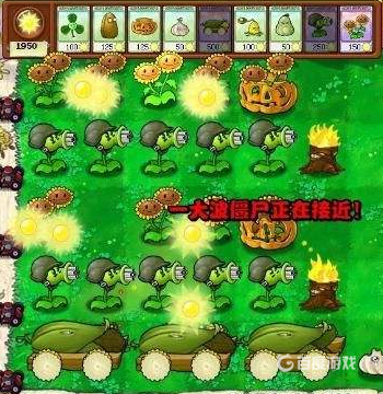 植物大戰僵屍無限陽光秘籍是什麼？