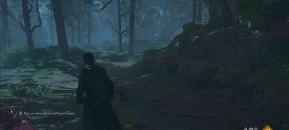 霍格沃茨之遺跟隨蝴蝶支線介紹-霍格沃茲跟隨蝴蝶支線怎麼做