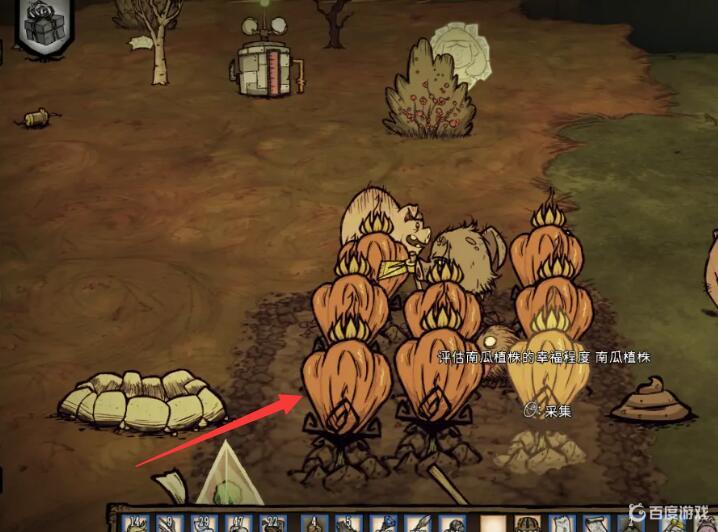 饑荒金絲雀怎麼得？