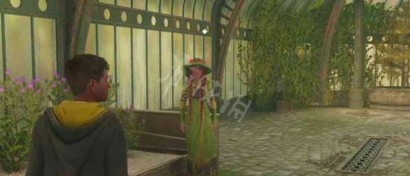 霍格沃茨之遺教授作業攻略-霍格沃茨之遺全作業完成攻略