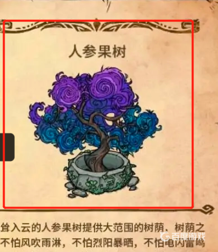 飢荒人蔘果有什麼用？