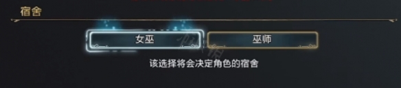 霍格沃茨之遺巫師和女巫有什麼區別-巫師和女巫介紹