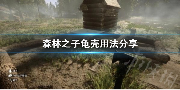 森林之子龜殼用法分享-森林之子龜殼有什麼用