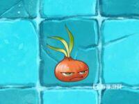 植物大戰僵屍哪個植物有眩暈效果？