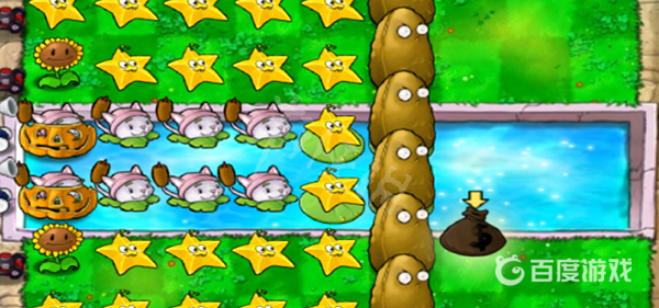 植物大戰僵屍貓尾草怎麼種？