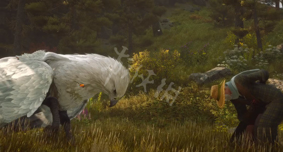 霍格沃茨之遺坐騎怎麼解鎖-霍格沃茨遺產坐騎解鎖方法介紹