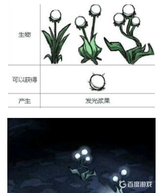 饑荒熒光果蟲去哪抓？