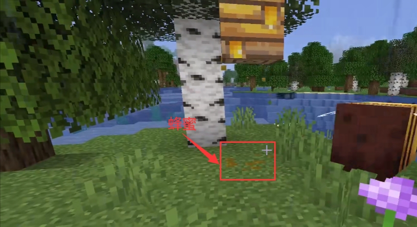 我的世界蜂窩里的蜂蜜怎麼取？