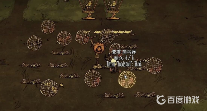 饑荒金絲雀怎麼獲得？