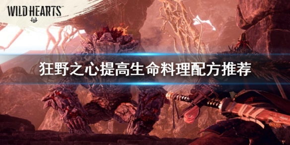 狂野之心提高生命的料理配方都有什麼-提高生命料理配方推薦