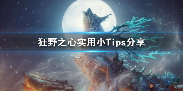 狂野之心實用小Tips分享-狂野之心Tips有什麼用