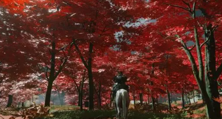 如何獲得獎盃-失物招領以及難點心得?