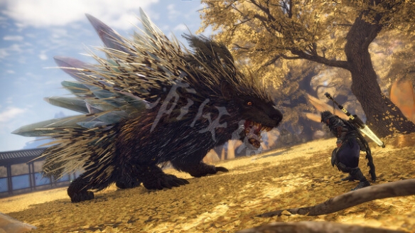狂野之心小獸的甲皮怎麼獲得-狂野之心小獸的甲皮獲得方法