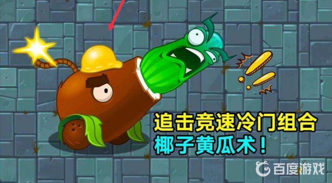 植物大戰僵屍兒童高筒帽是誰的？