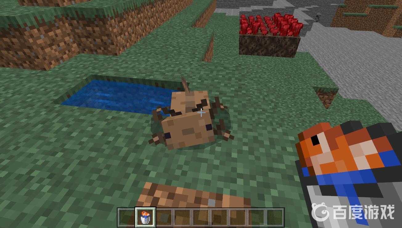 我的世界怎麼餵養美西螈？