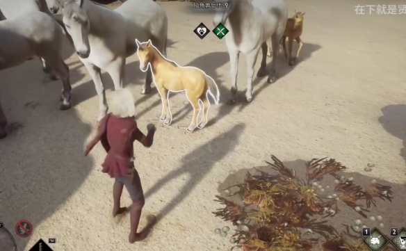 霍格沃茨之遺動物怎麼繁殖-霍格沃茨之遺動物繁殖方法