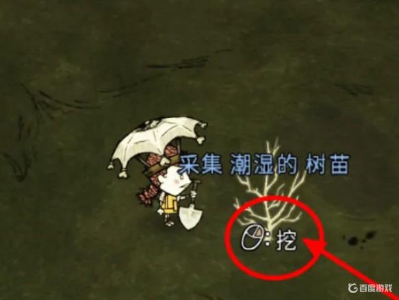 饑荒樹枝怎麼種？