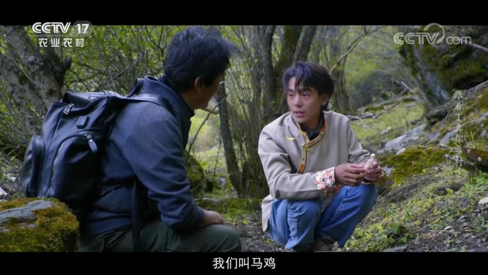 丁真，在故鄉陷入迷茫