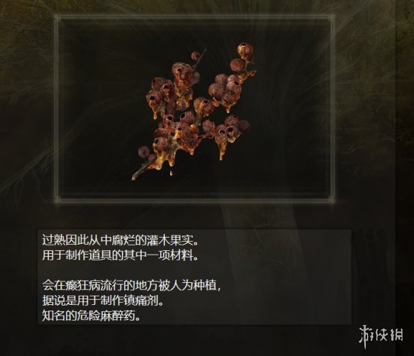 《老頭環》玩家發現現實版「耶羅眼珠"！竟是一種水果