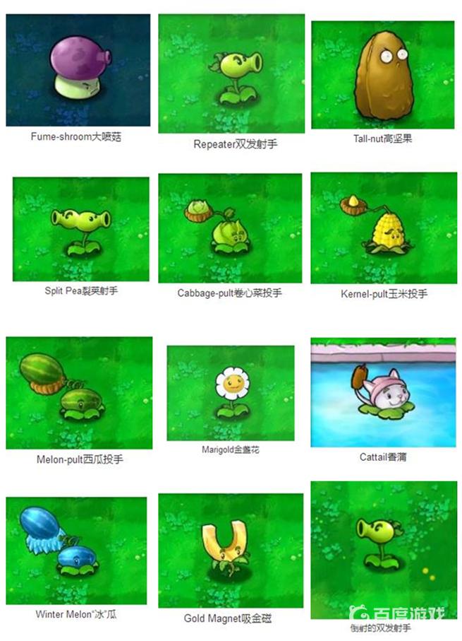 植物大戰僵屍哪個植物有眉毛？