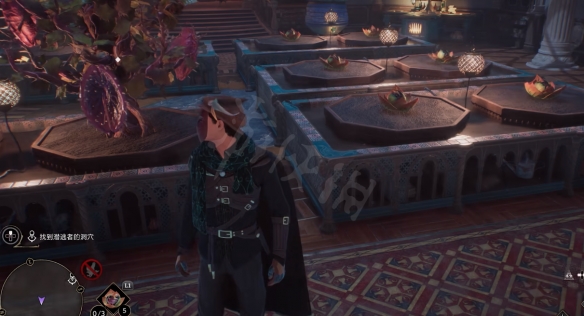 霍格沃茨之遺植物流怎麼玩-霍格沃茨之遺植物流玩法技巧