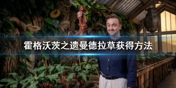 霍格沃茨之遺曼德拉草在哪-霍格沃茨之遺曼德拉草獲得方法