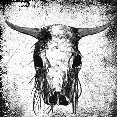 如何獲得獎杯孩子，歡迎成為我們家的一員以及難點心得?