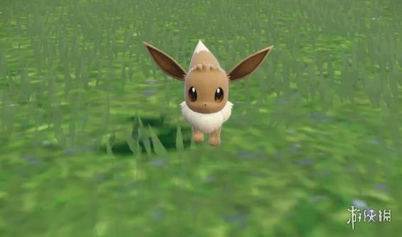 GF聲稱將做更多非《寶可夢》游戲 對公司來說非常重要