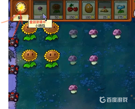 植物大戰僵屍sun是什麼意思？