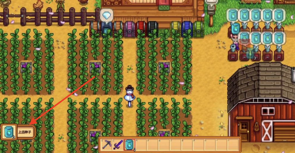 星露穀物語上古種子什麼季節？