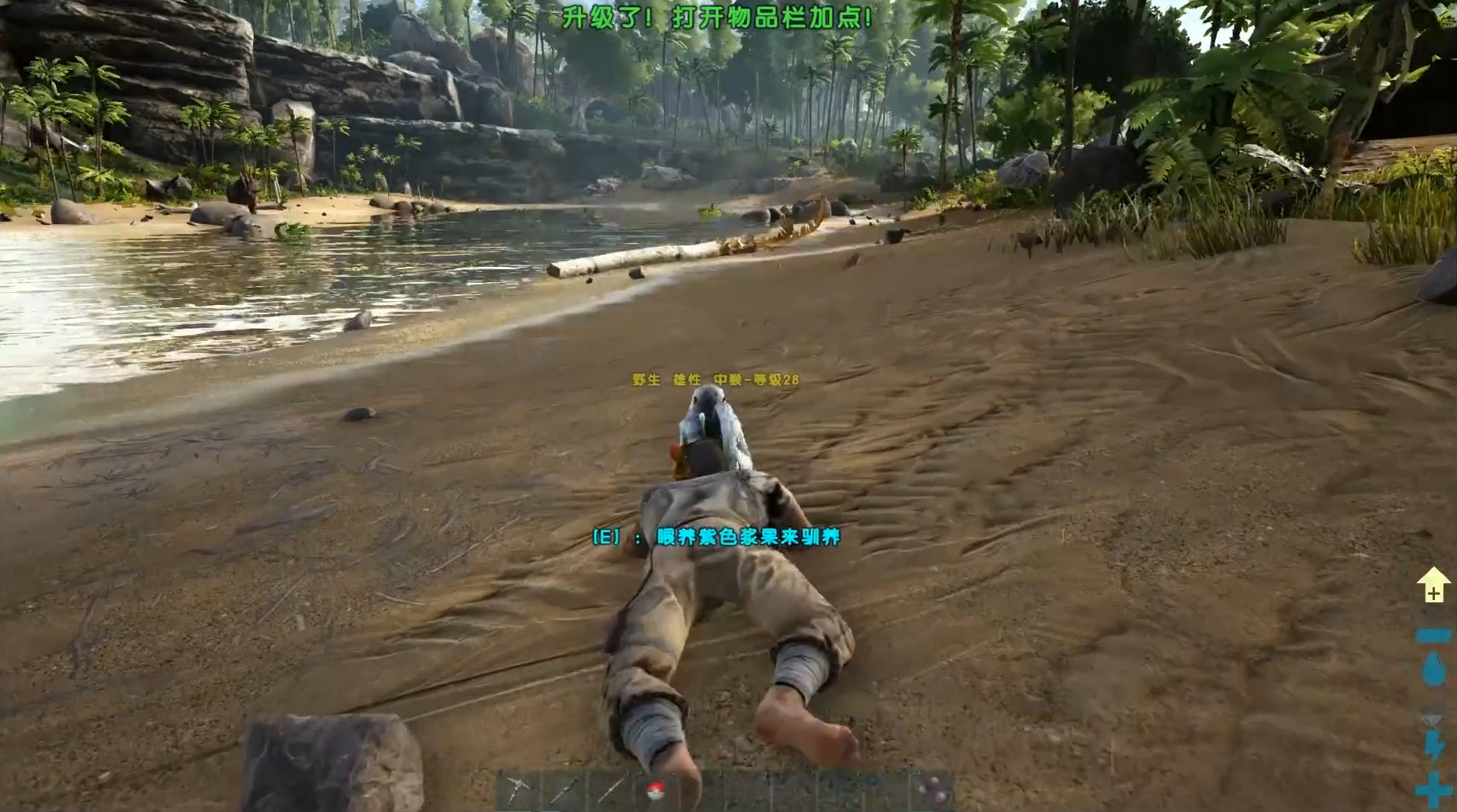 方舟 中猴怎麼馴服？