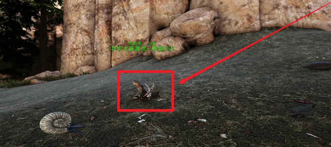 方舟：生存進化肩上的寵物怎麼放下來？