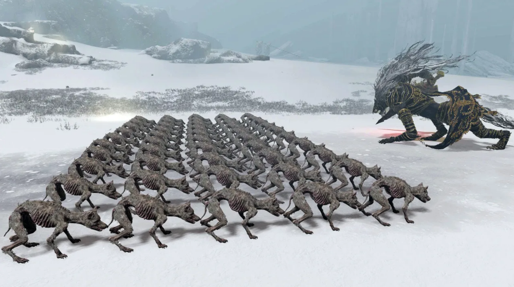 狗直播玩《艾爾登法環》走紅，以及BOSS跟50條狗的對戰