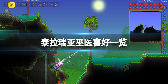 泰拉瑞亞巫醫喜歡和誰住-泰拉瑞亞巫醫喜好一覽