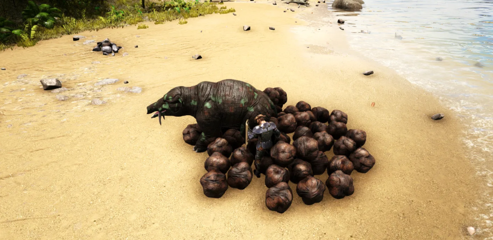 方舟糞便怎麼大量獲得？