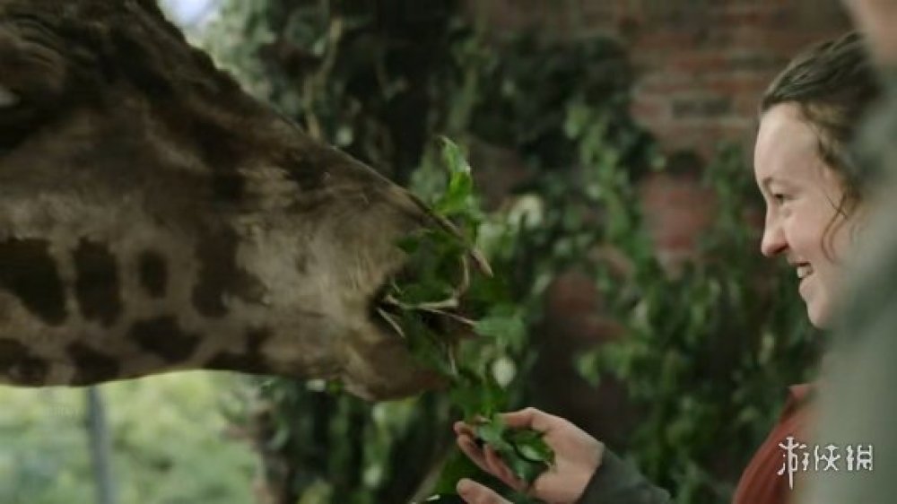 名場面還原！《最後生還者》最後一集的長頸鹿並非特效