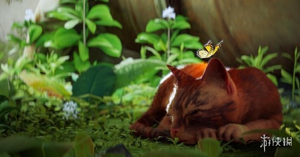 發售大半年後 貓貓遊戲《Stray》依然“好評如潮”！