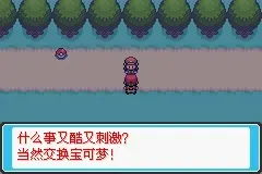 口袋妖怪最後的火紅4.03圖文記錄（攻略）一週目【8】
