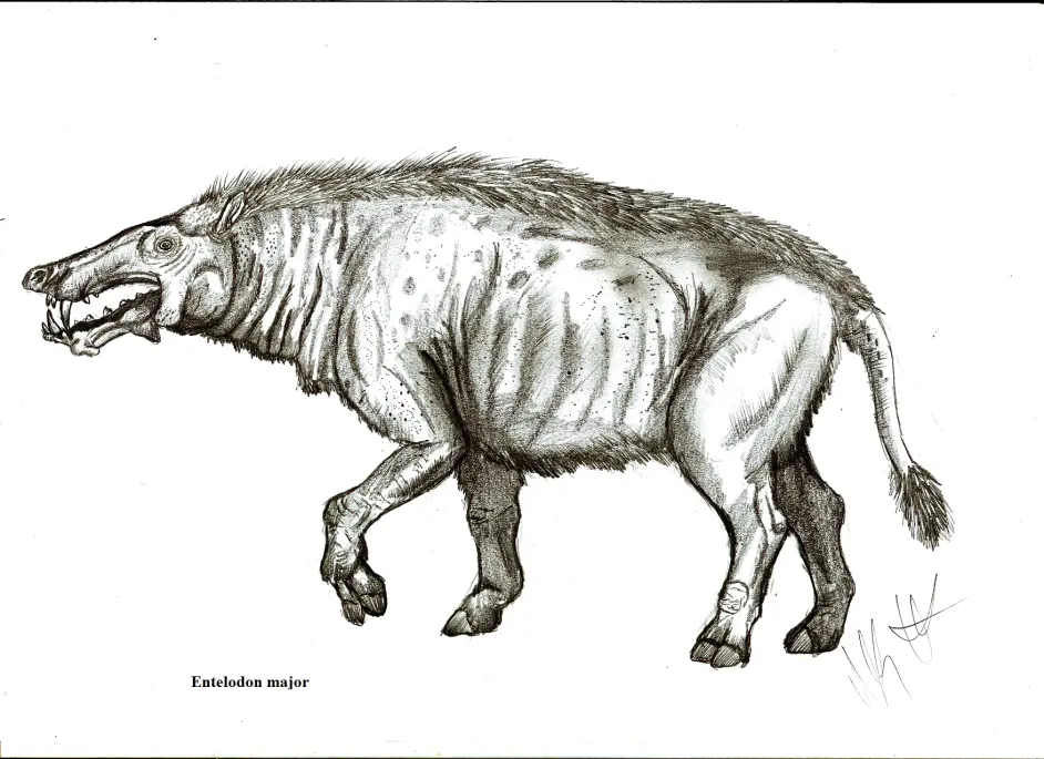 侏羅紀世界遊戲圖鑑：完齒豨（完齒獸）