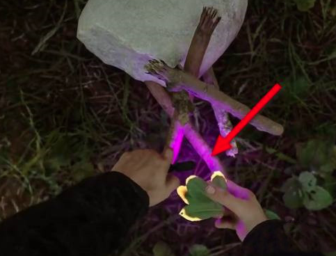 森林之子怎麼造火堆-篝火製造方法詳解