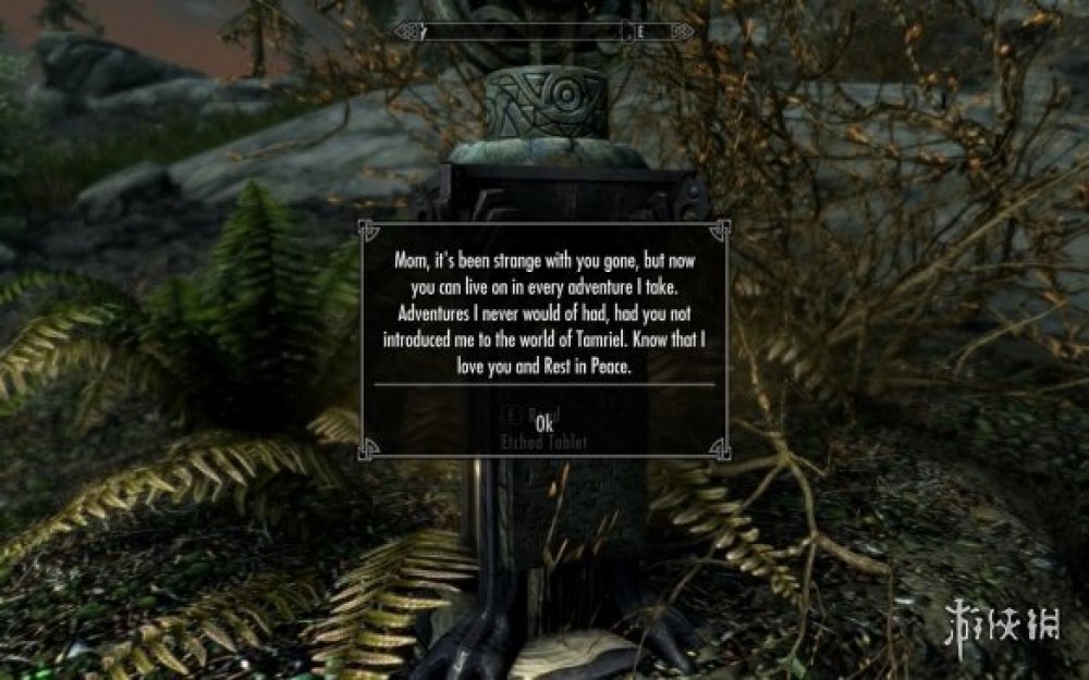 《老滾5》玩家學習自制Mod 只為在遊戲中紀念已逝母親