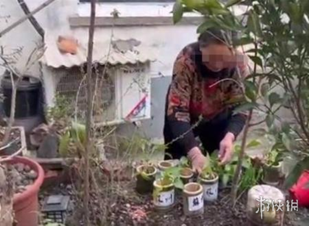 全網爆火的竹筒奶茶，買過一杯就不想再來第二杯