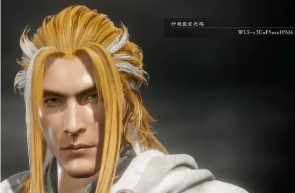 卧龍蒼天隕落捏臉代碼怎麼用-捏臉男性代碼分享