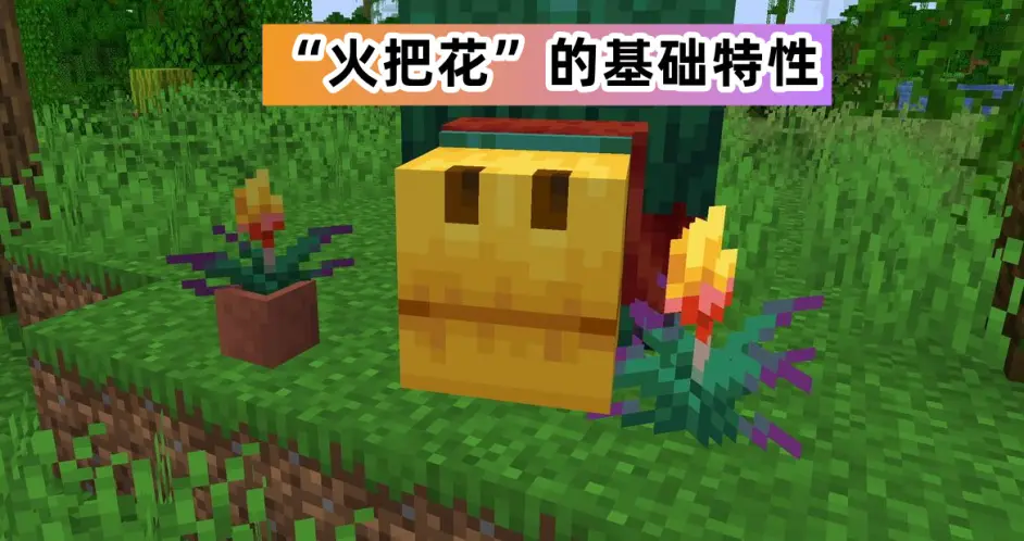 我的世界1.20：火把花vs火炬花！Mojang是否會讓火把花“發光”？