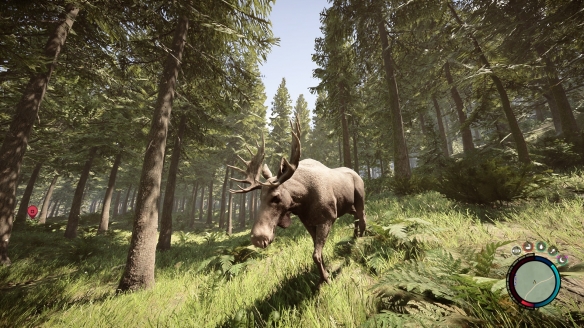 森林之子帳篷怎麼拆下來-森林之子帳篷位置及搭建拆掉方法