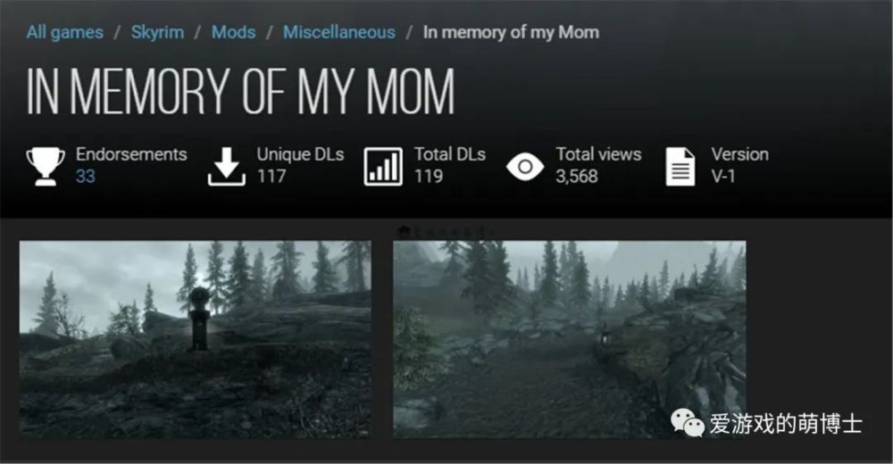 發自內心的思念，《上古卷軸5》玩家自制模組，緬懷過世的母親