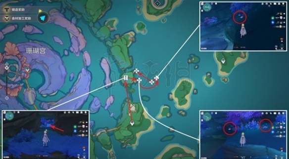 原神3.5版珊瑚真珠怎麼收集-原神3.5版珊瑚真珠收集路線分享