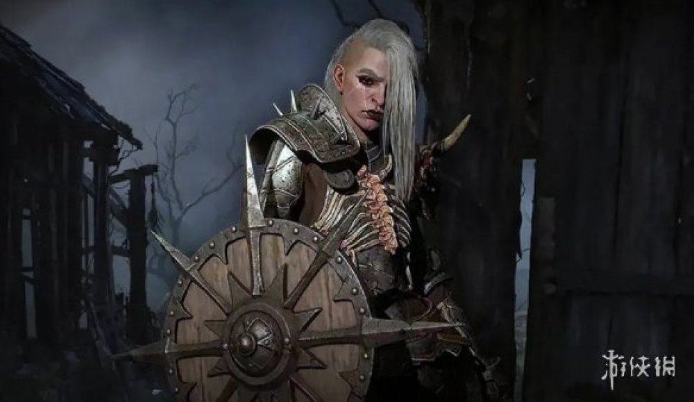 白毛控震怒！玩家稱《暗黑4》著色器有問題 白髮變灰髮